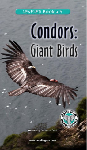 raz Y级阅读Condors Giant Birds绘本PDF+音频百度网盘免费下载