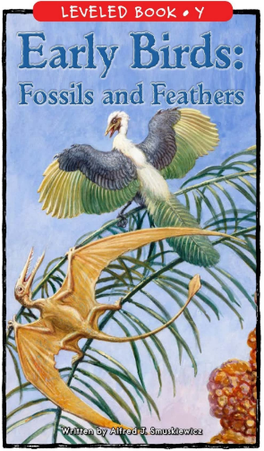 raz Y级阅读Early Birds Fossils and Feathers绘本PDF+音频百度网盘免费下载