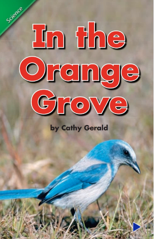 培生pearson读物In the Orange Grove绘本电子版资源免费下载