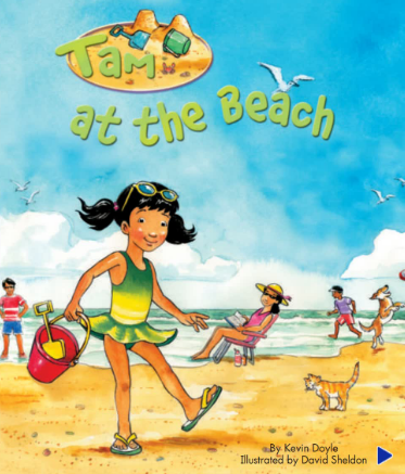培生pearson读物Tam at the Beach绘本电子版资源免费下载