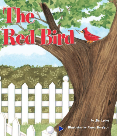 培生pearson读物The Red Bird绘本电子版资源免费下载