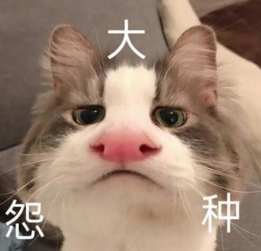 大冤种什么意思2