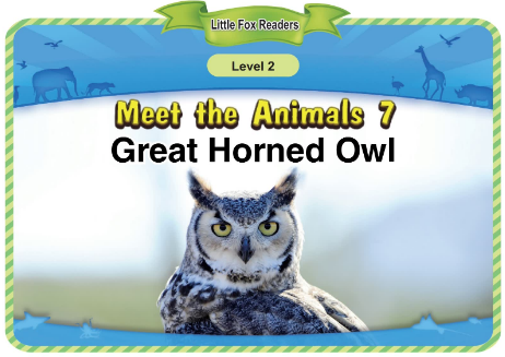 Meet the Animals 7 Great Horned Owl音频+视频+电子书百度云免费下载