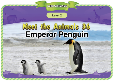 Meet the Animals 36 Emperor Penguin音频+视频+电子书百度云免费下载