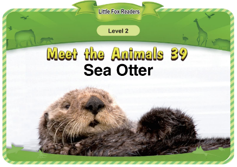 Meet the Animals 39 Sea Otter音频+视频+电子书百度云免费下载