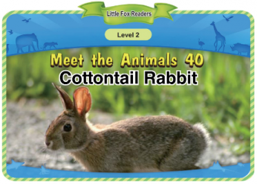 Meet the Animals 40 Cottontail Rabbit音频+视频+电子书百度云免费下载