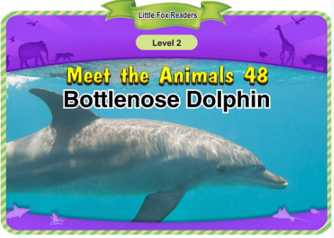 Meet the Animals 48 Bottlenose Dolphin音频+视频+电子书百度云免费下载