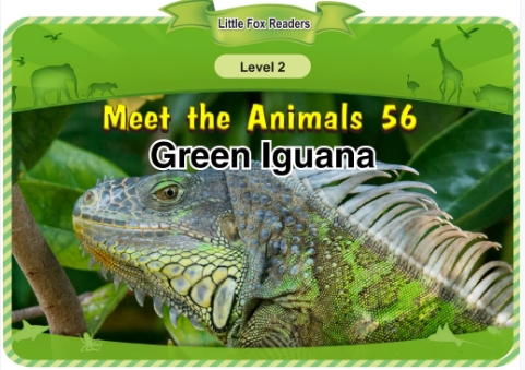 Meet the Animals 56 Green Iguana音频+视频+电子书百度云免费下载