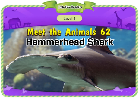 Meet the Animals 62 Hammerhead Shark音频+视频+电子书百度云免费下载