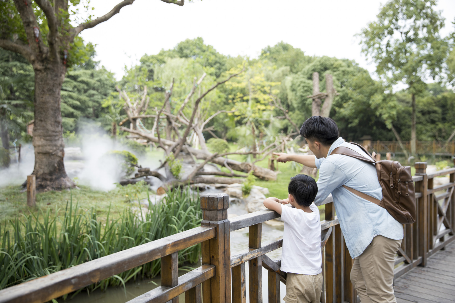 暑假參觀動物園日記400字