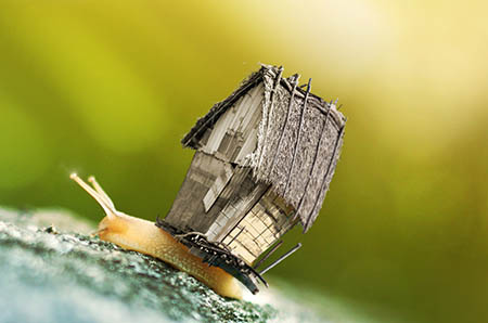 http://p2.so.qhimgs1.com/bdr/200_200_/t011d1edeae77611c3e.jpg