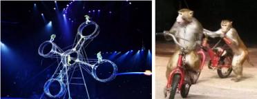 第四届华艺星空2019六一演出季4城40场演出