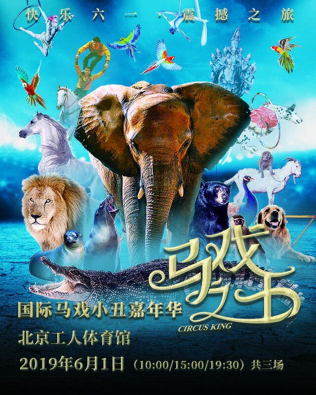 第四届华艺星空2019六一演出季4城40场演出