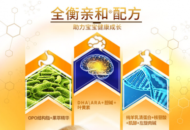 图片 31.png