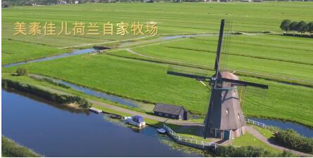 美素佳儿，有的不仅仅是营养