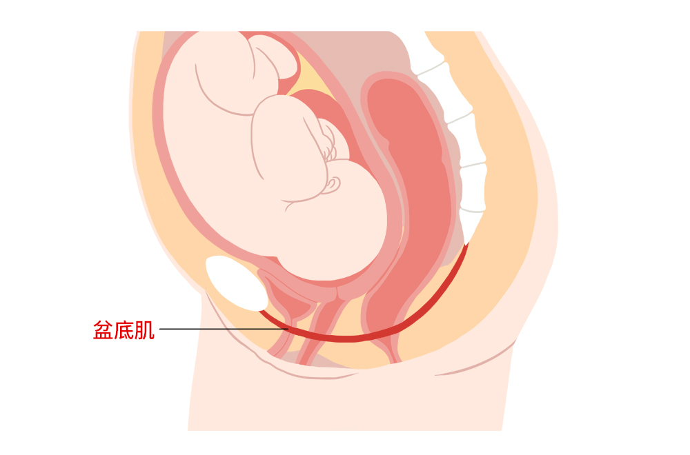 順產會導致盆底損傷,剖腹產不會?研究證實不是這樣