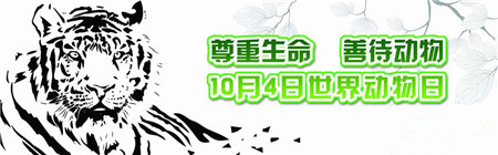 世界动物日是几月几日 宝宝必须知道这些事