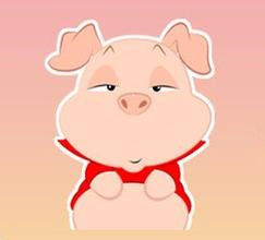 小猪发脾气故事