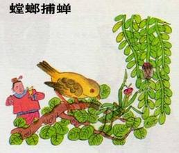概括螳螂捕蝉的故事