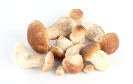 哺乳期能吃草菇吗