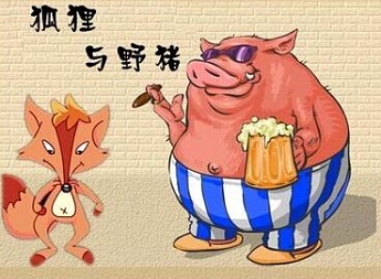 野猪与狐狸的故事