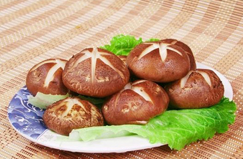 备孕可以吃香菇吗