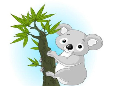 企鹅和考拉的故事
