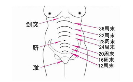 怀孕22周腹围多少正常