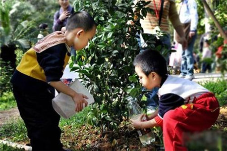 2016年社区植树节亲子活动方案
