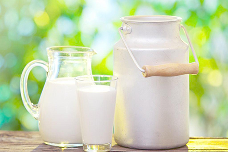 孕妇血糖高能喝纯牛奶吗