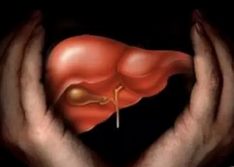 蚊虫叮咬能传播乙肝吗