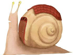 蜗牛壳的故事