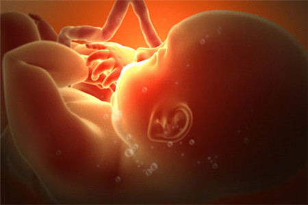 预产期发烧影响胎儿吗