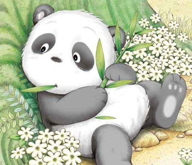 小熊猫送礼物的故事