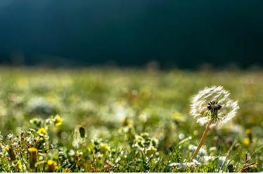 胃出血吃什么食物好6