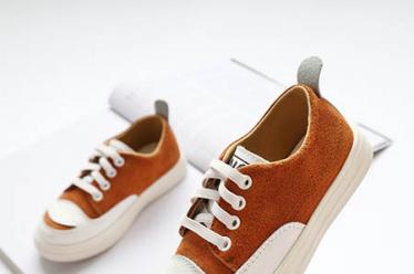 狗瘟会传染人吗