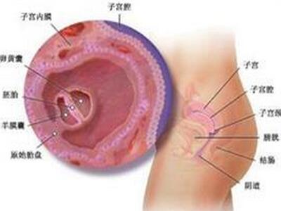 着床出血 着床出血是什么颜色 着床出血症状 亲亲宝贝网