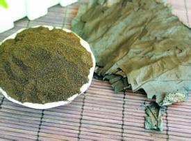 荷叶灰副作用