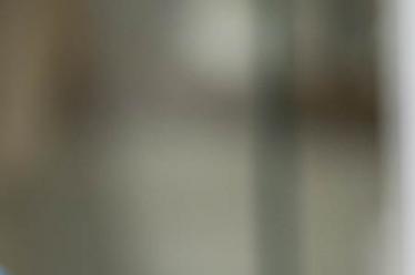 一般乌木的价格