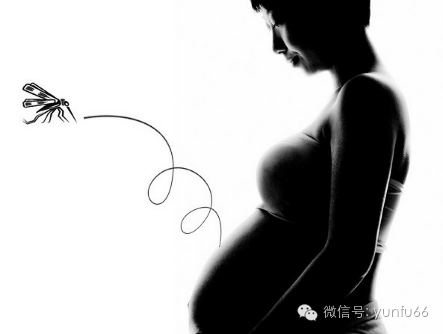 孕妇可以用蚊香吗？