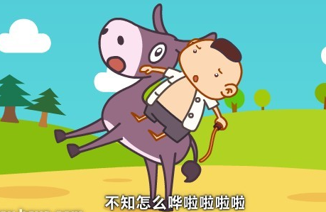 小毛驴