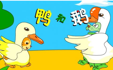 鸭和鹅
