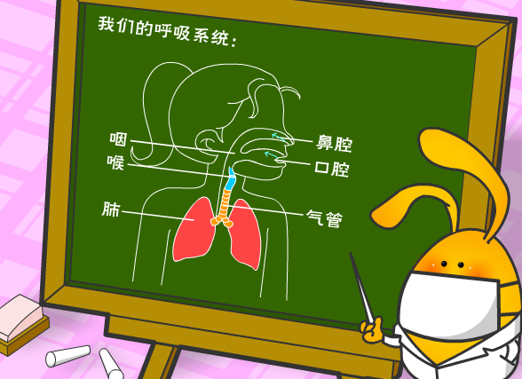 呼吸系统篇