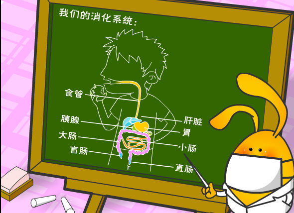 消化系统篇
