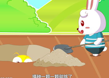 种太阳