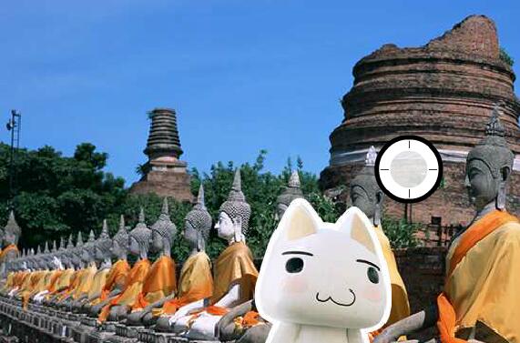小猫国庆之旅