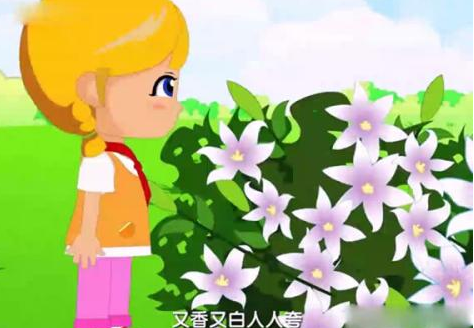 茉莉花