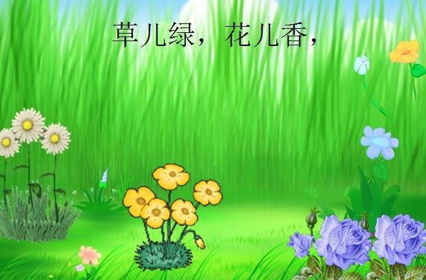 爱护小树苗