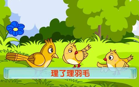 快乐的小鸟
