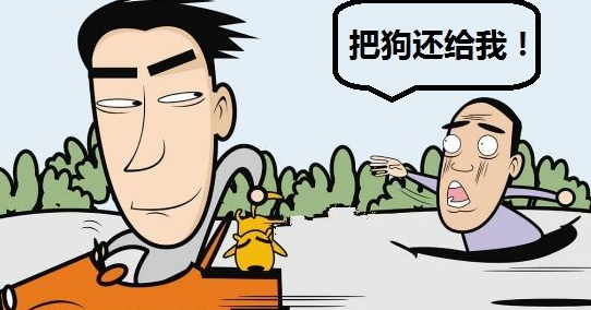 寻狗启示